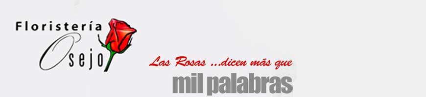 Flores para condolencias - tuNicaragua.com