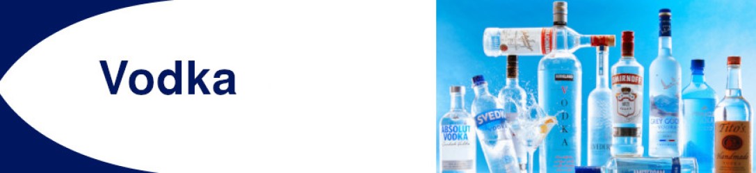 banner_al_por_mayor_vodka
