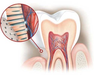 Eliminaci__n_de__58bf49b79e923